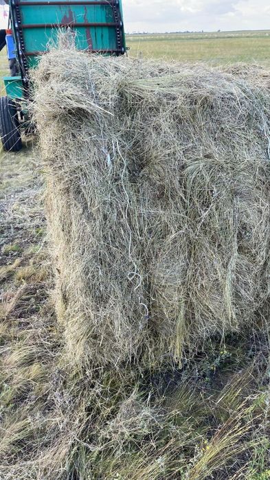 Продам сено в рулонах