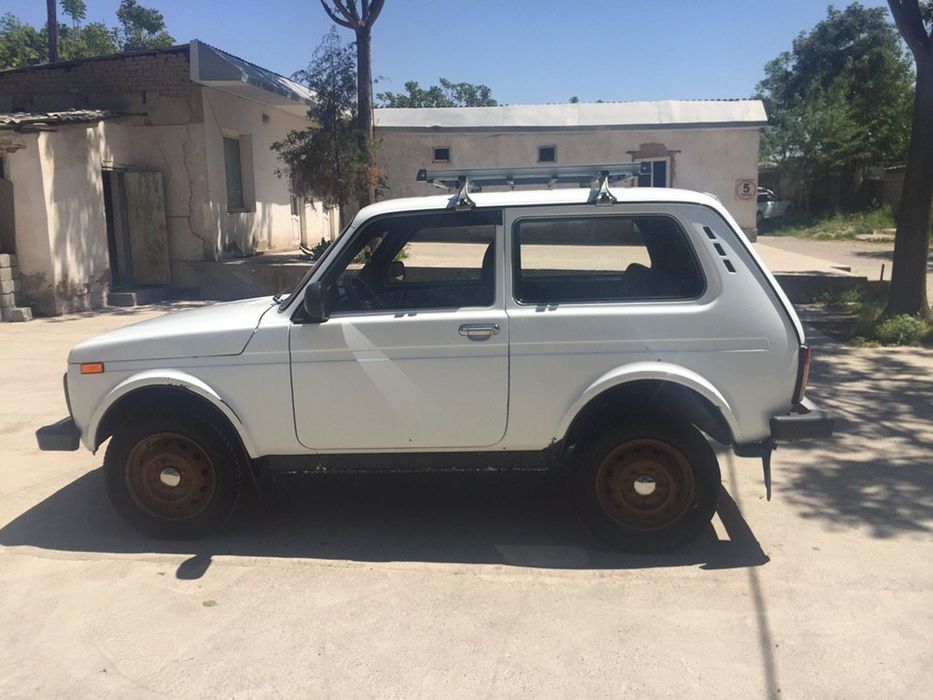 Niva Holati zur yili 2012