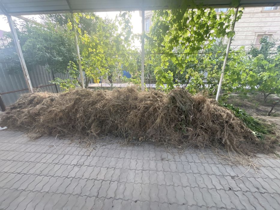 Малга шөп  бар алып кетсеңдер болады