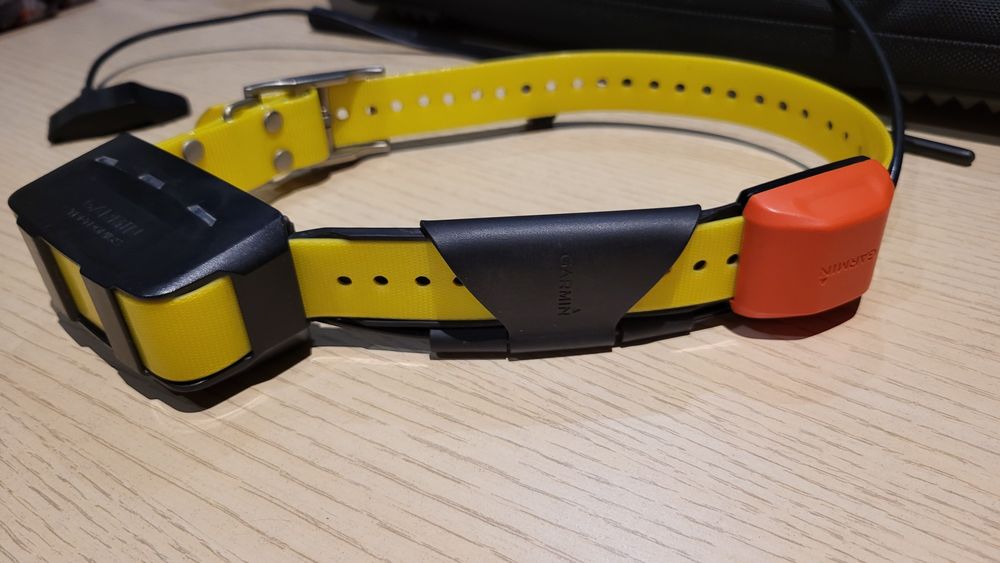 Garmin Alpha 100 +T5