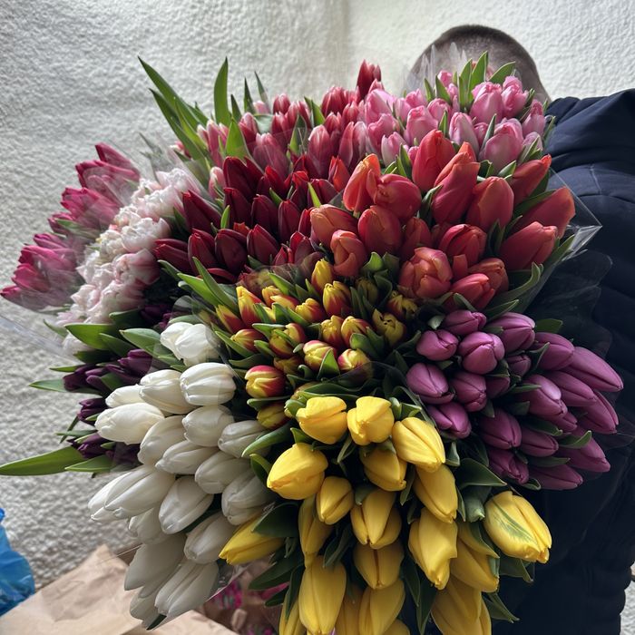 Большие Тюльпаны