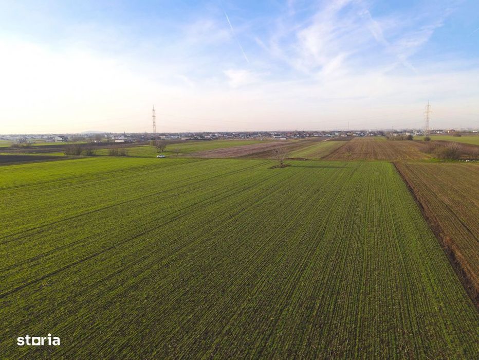 Teren Investitional 1,24 ha Com Berceni | deschidere 42ml | #CG28