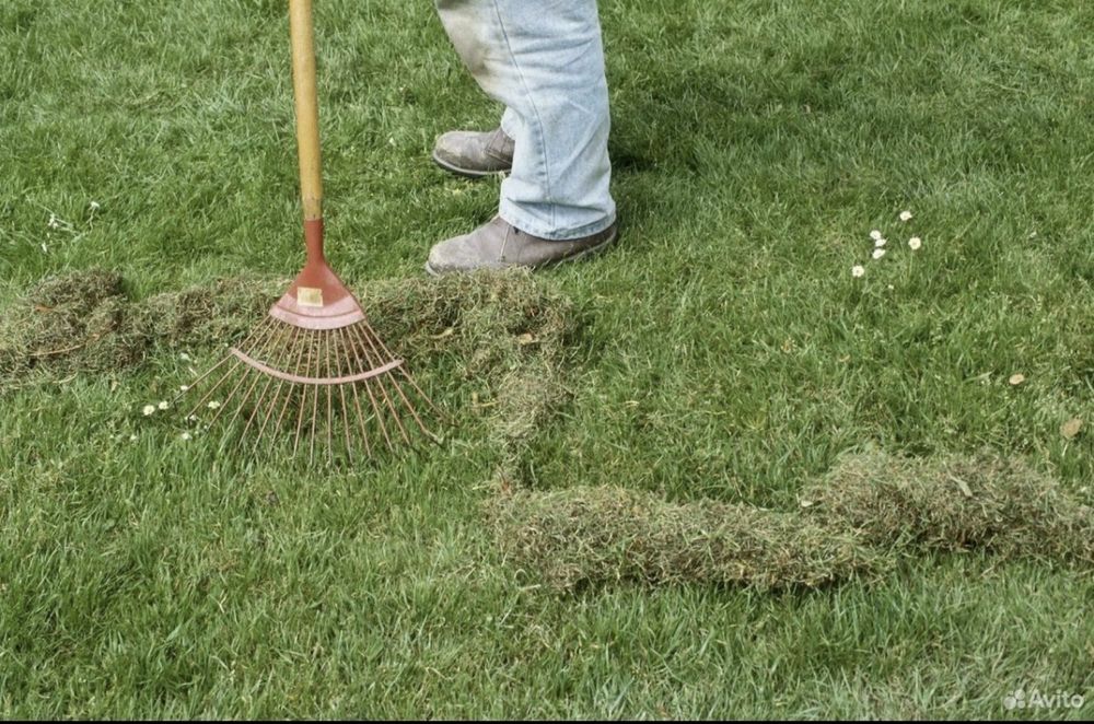 Бригада рабочих, уборка территории