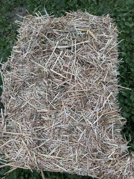 Самон пресс сотилади