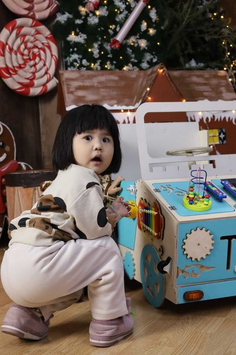 Развивающая Игрушка Бизикар