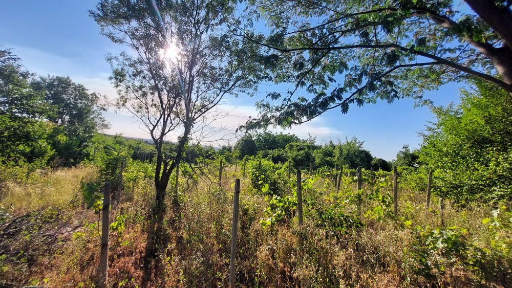 Продава се Парцел в Русе, Долапите - 875 кв.м за 5 €/кв.м - Снимка #3