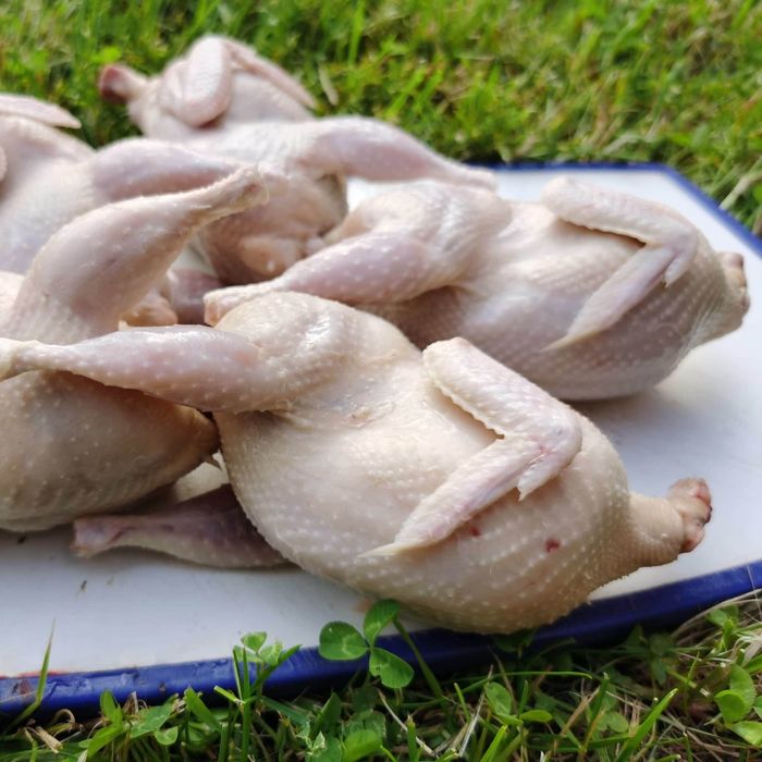 Мясо перепела бөдене еті