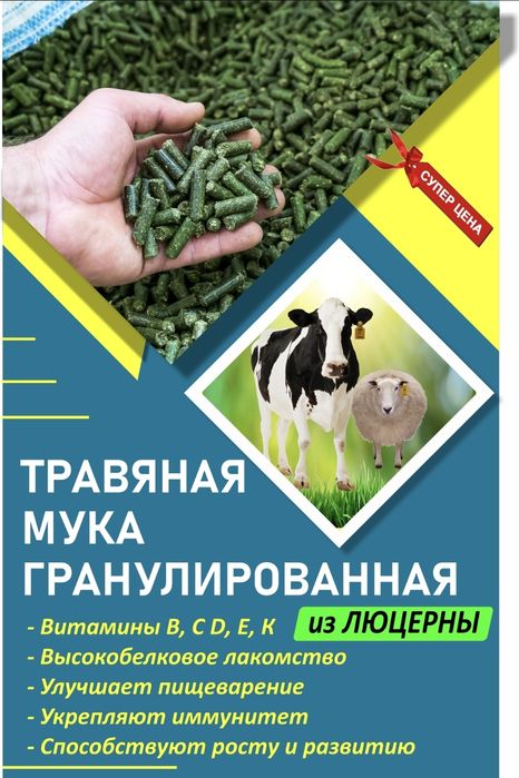 Гранулированная люцерна. Гранулы из люцерны. Гранулированный корм для