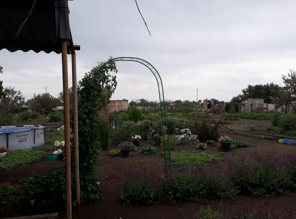 Продам дачу общество Союз