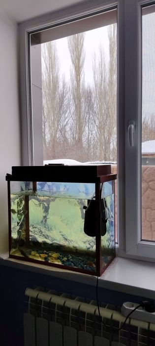 Продам аквариум в отличном состоянии