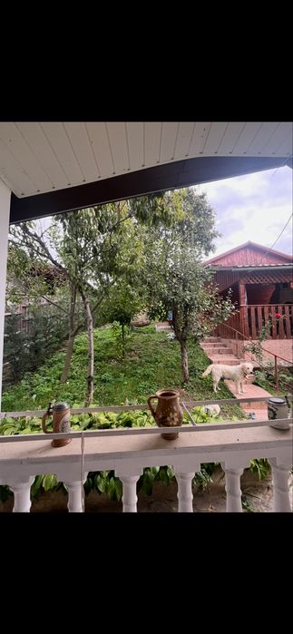 Proprietate deosebită în centrul Zalăului | 17 ari | Oază de liniște, verdeață și potențial unic
