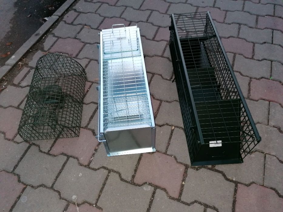 Taposoracs Ar