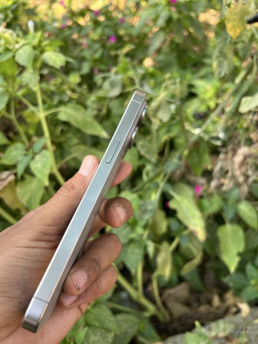 Iphone 15 Pro Max ideal