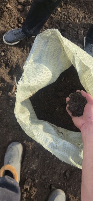 Чернозем плодородная земля