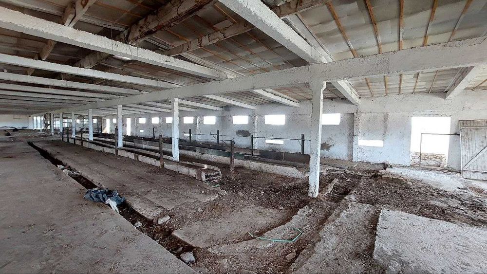 Chorvachilik fermasi