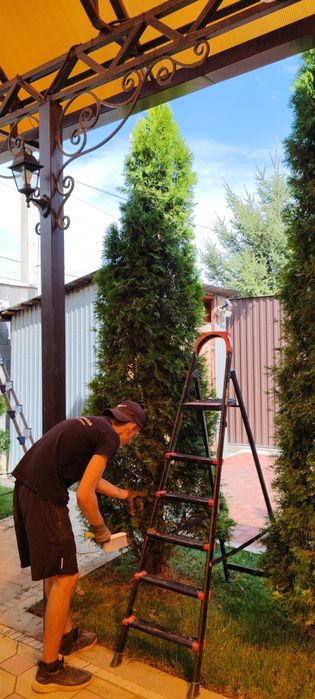 Услуги садовника