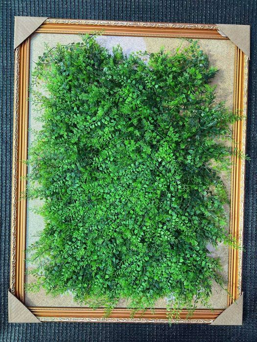 Фитостена в Ташкенте - Коврик на стену