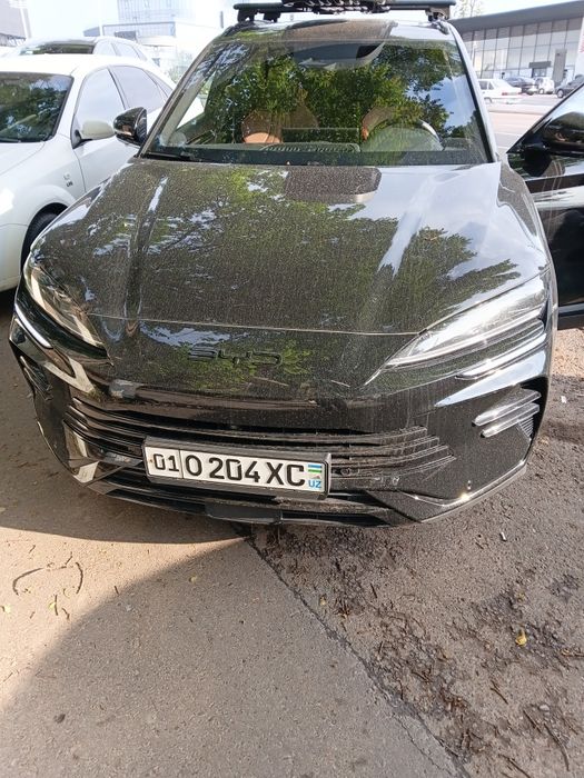 Other Song Pro DM-i Champion 2024