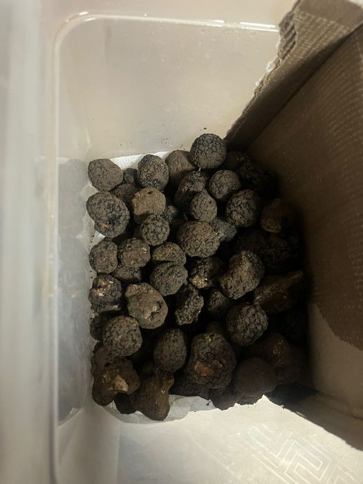 Trufe proaspete si aromate