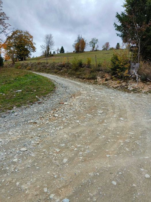 Teren în Arieșeni jud Alba