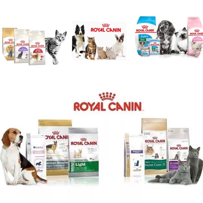 Royal Canin для вашего питомца