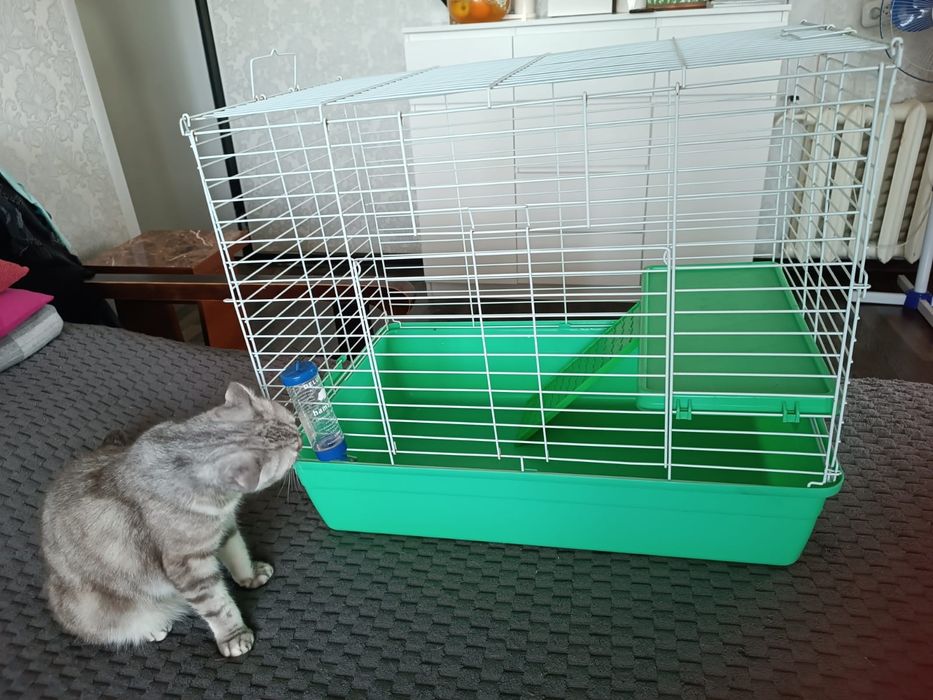 Клетка для животных