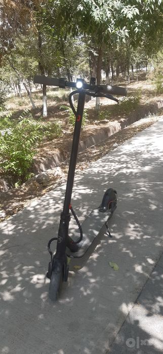 Elektro samakat cavalo