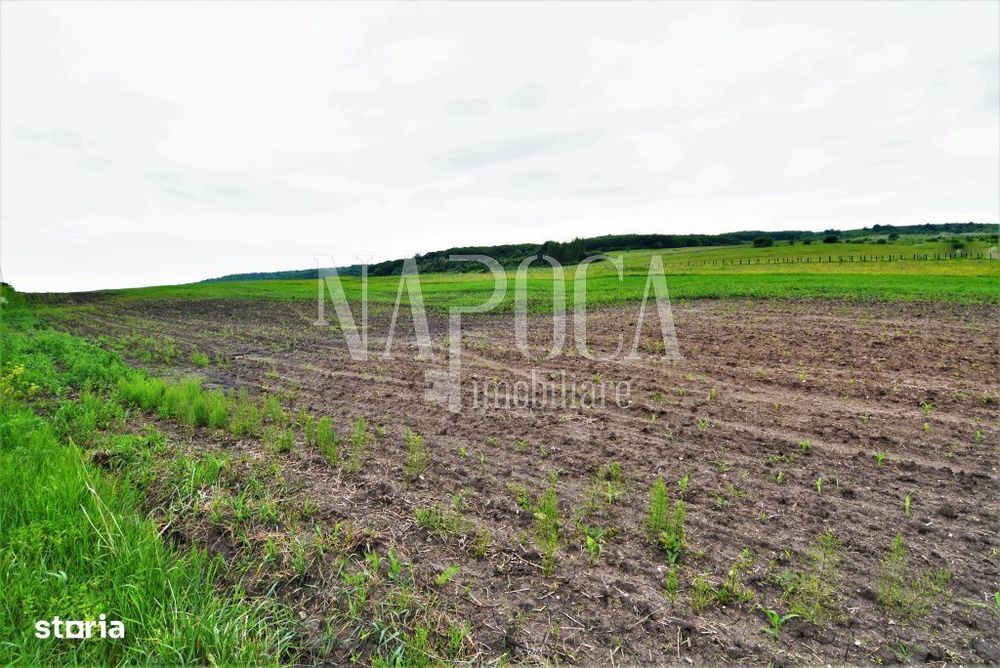 Teren extravilan pentru constructii de vanzare in Popesti