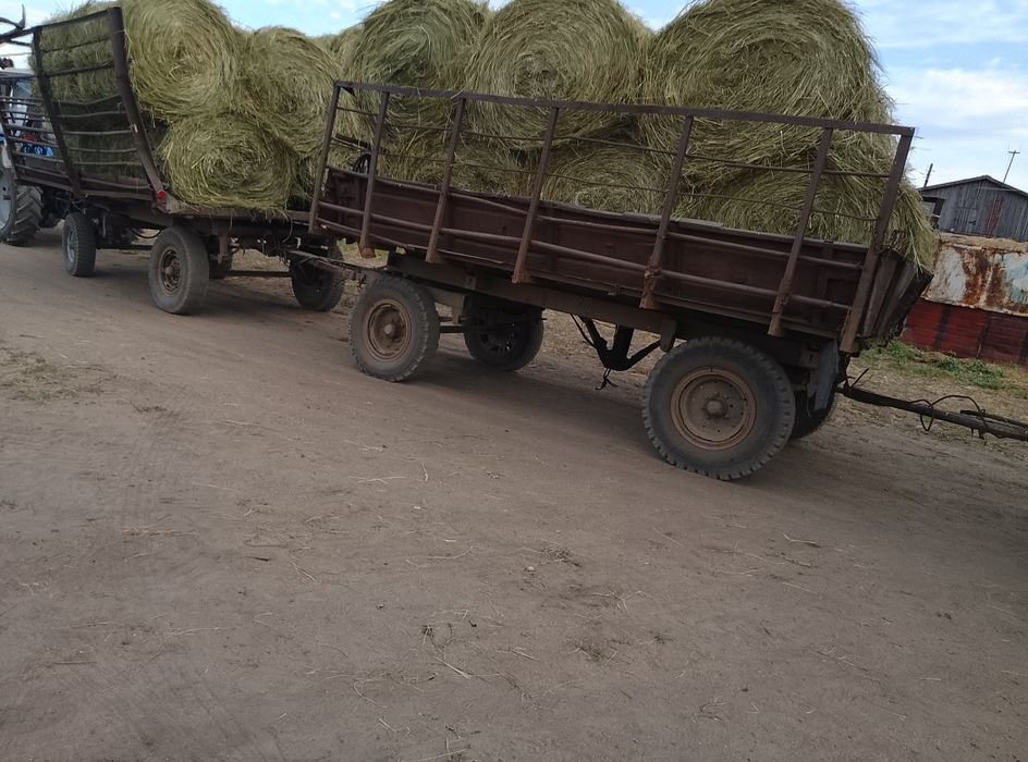 Продам зелёное луговое сено