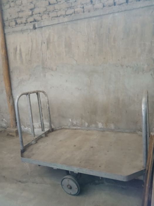 Uy rozgor buyumi chiroyli  narxlarda arzon sotiladi