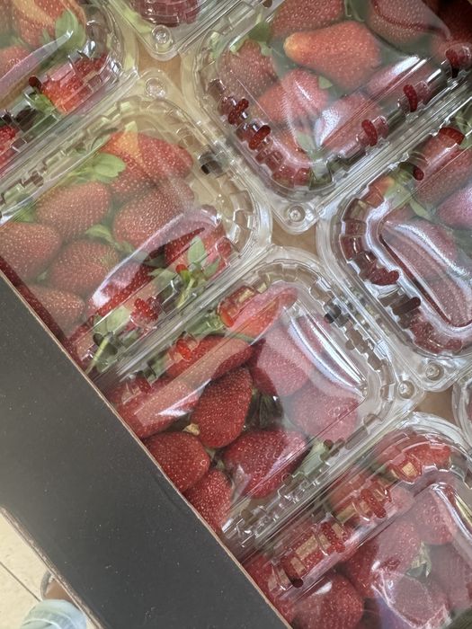 Клубника египетская