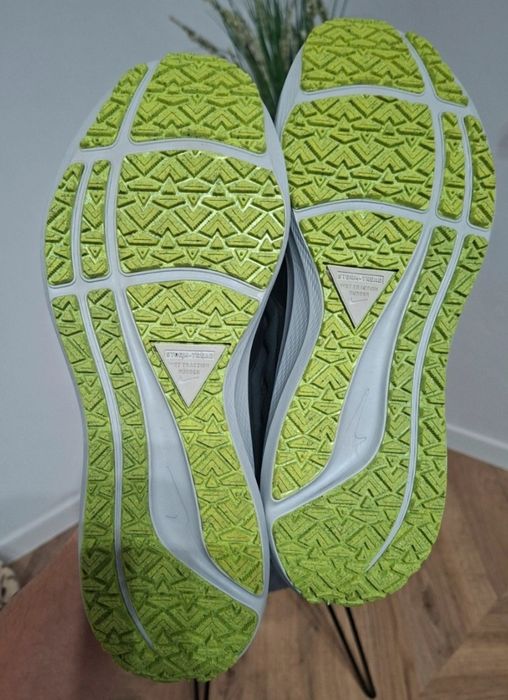 Nike  Air Zoom Pegasus 39 Shield