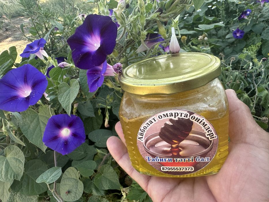 Жері үлкен үй сатылады