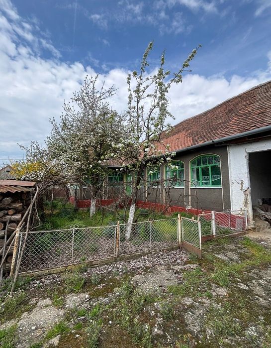 Casa de vanzare Dud. Arad