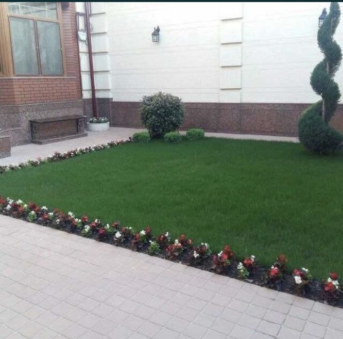 Рулон газон сифатли