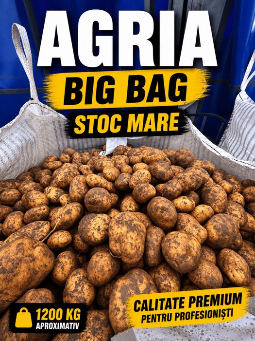 Cartofi AGRIA Premium 25 kg Big Bag Stoc Disponibil Horeca