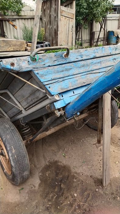 Ишак  девочка продаётся вместе с телегой