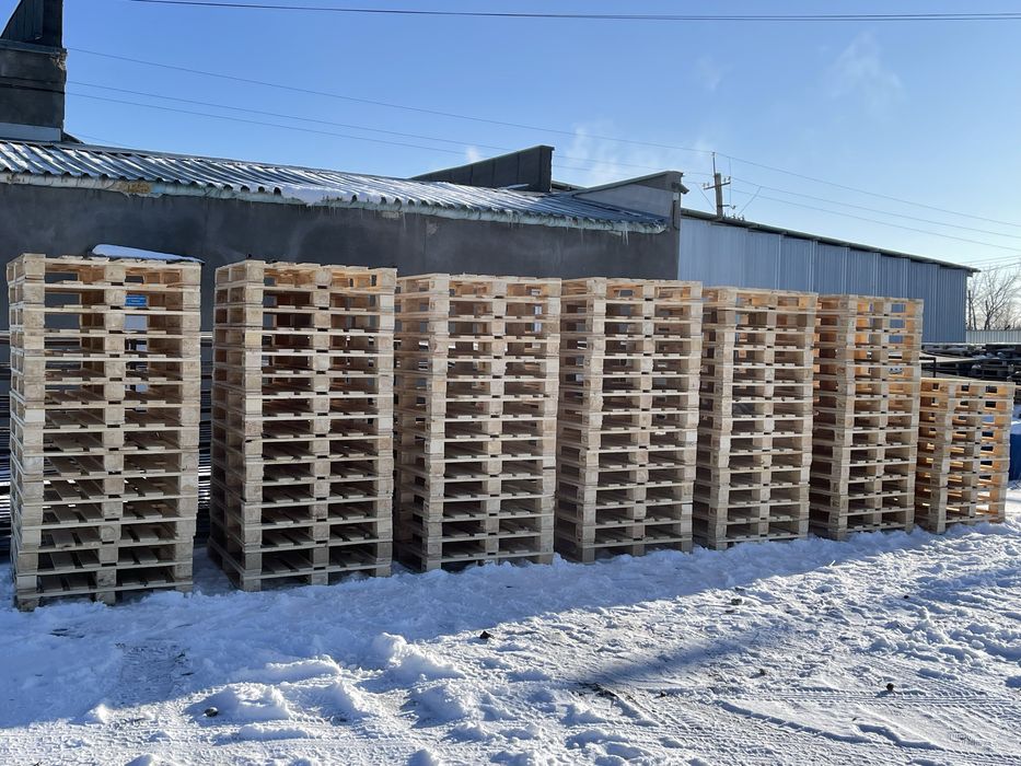 Поддоны 2000 тенге