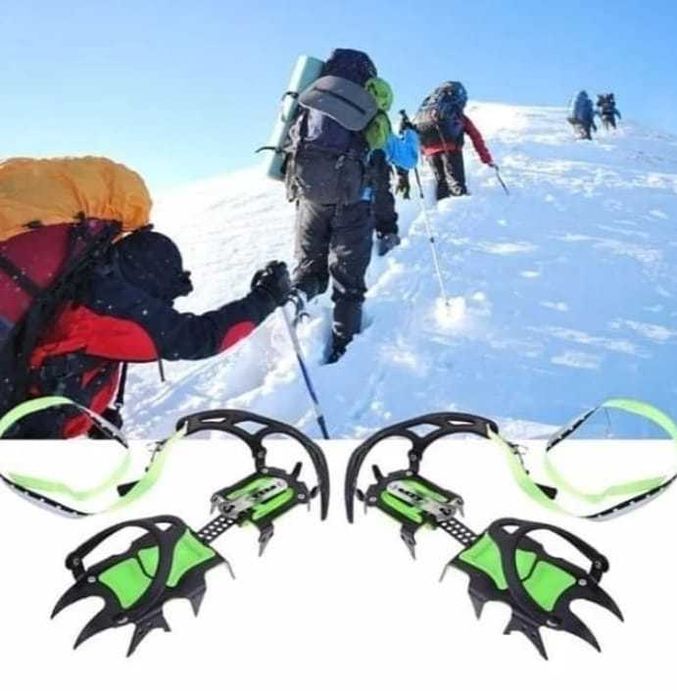 Продаются кошки с котятами