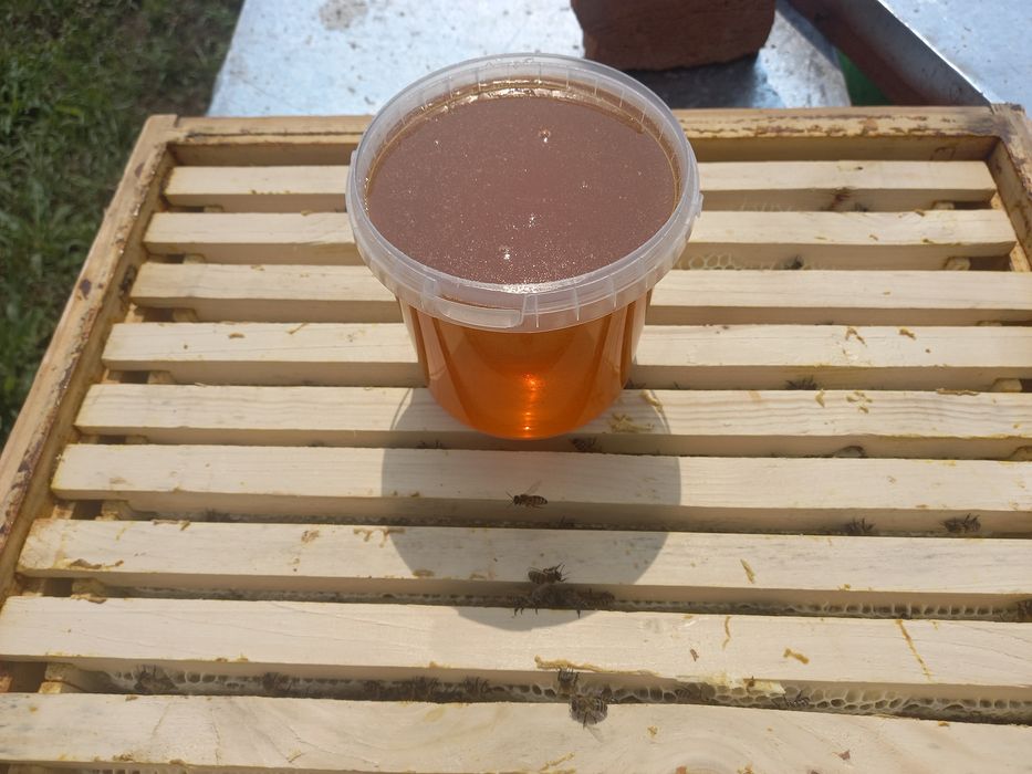 Мёд 2025 разнотравье