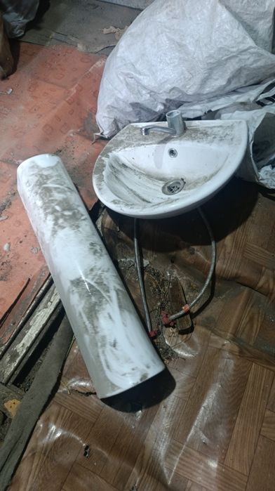 Раковина тюльпан бесплатно