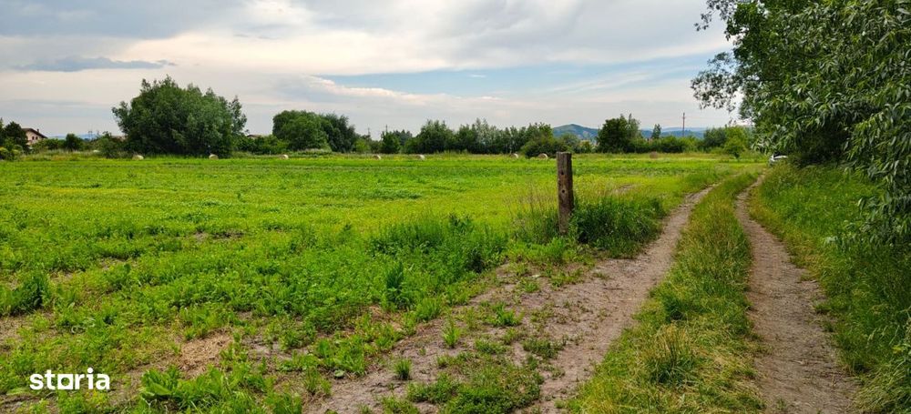 Teren cu sura in spatele caselor de pe str Andrei Saguna