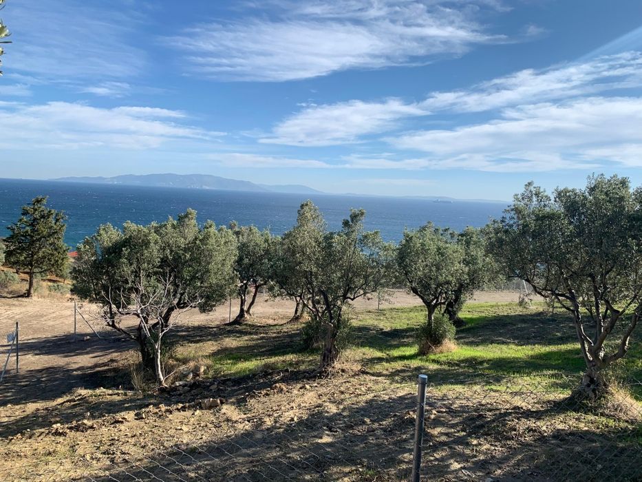 Парцел до морето, с гледка