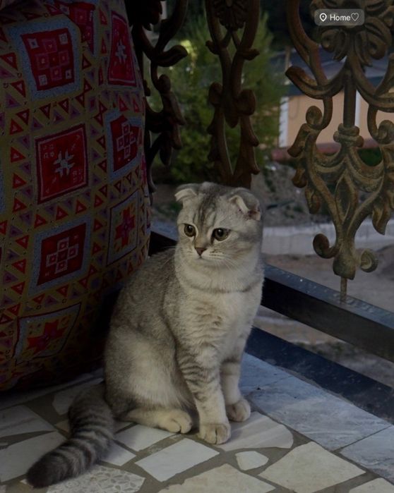 Ayollar kamming squirt video