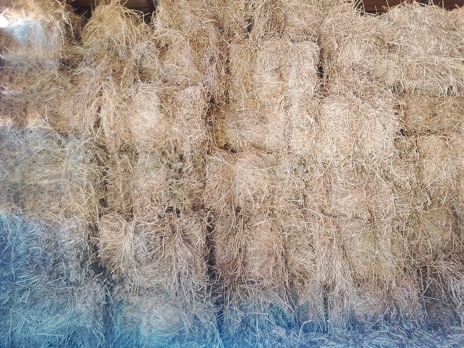 Бали  люцерна и сено