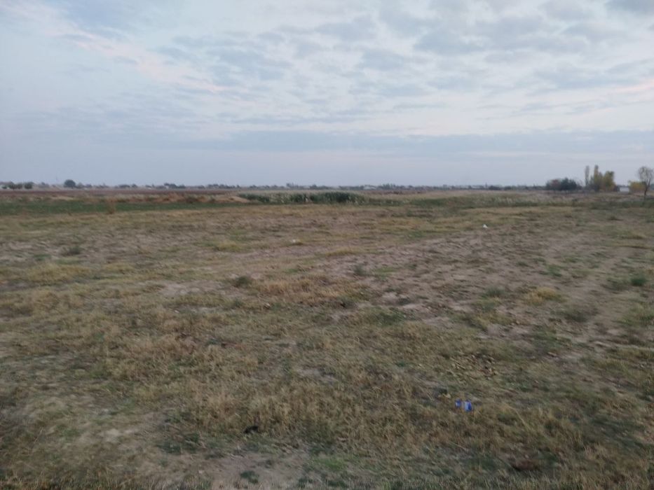 Toza yer joyi tomorqa