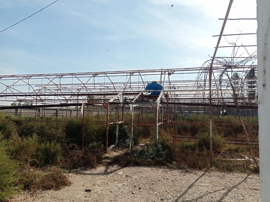 Янгийул Халқободда ўзимни уйимни 20 сот. теплицаси бн сотаман