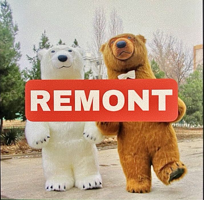 Ayiqlar, Ayu Remont, ximchistka, to’lliq tamirlab beramiz