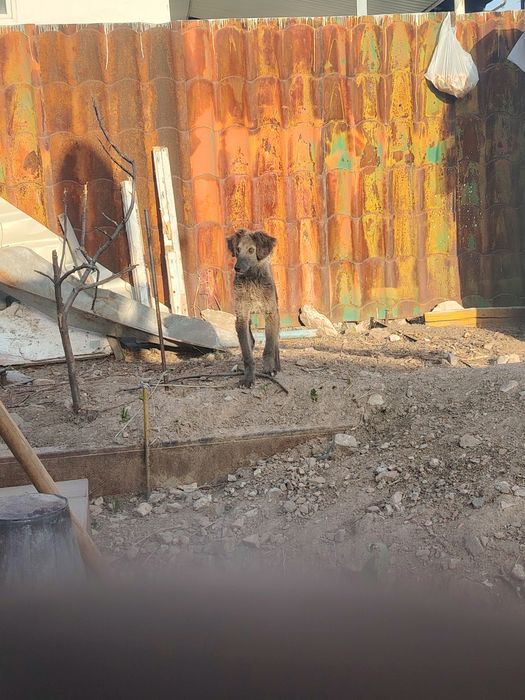 Продам или поменяю цена 30 тыс