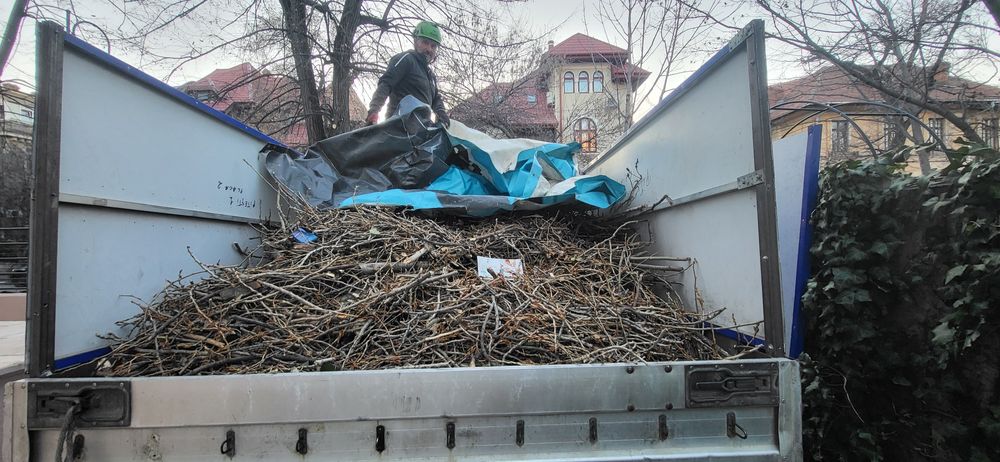 Transport , Mutari Mobilă ,   Debarasări  resturi vegetale etc